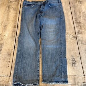 Lee Men's Straight Jeans - Blue